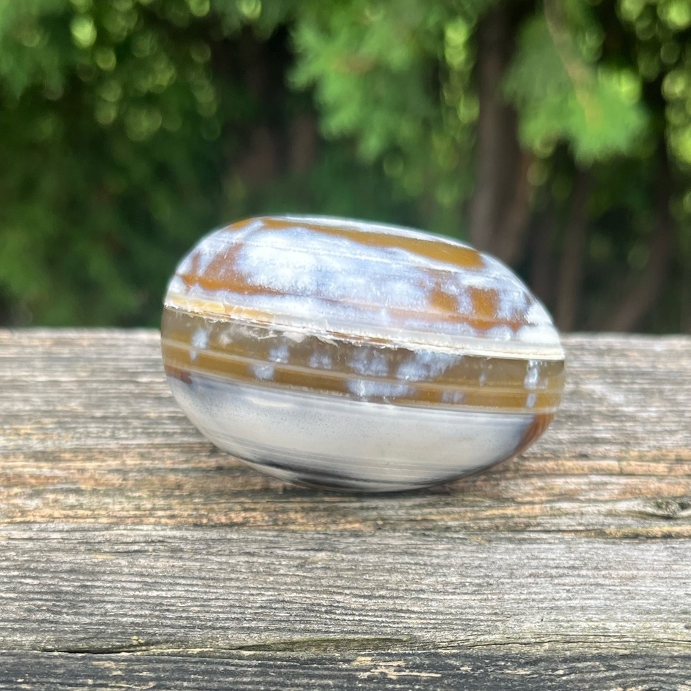 Orca Agate Palm